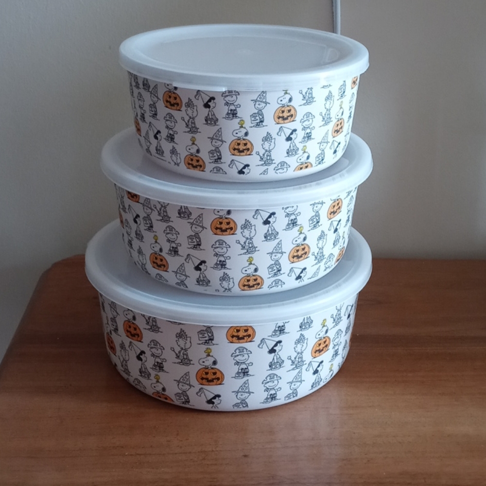 Halloween snoopy bamboo bowls